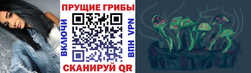 Псилоцибиновые грибы Psilocybine cubensis  Нижнекамск 